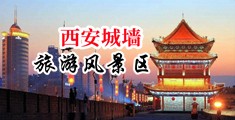 浪货插鸡吧操逼视频中国陕西-西安城墙旅游风景区